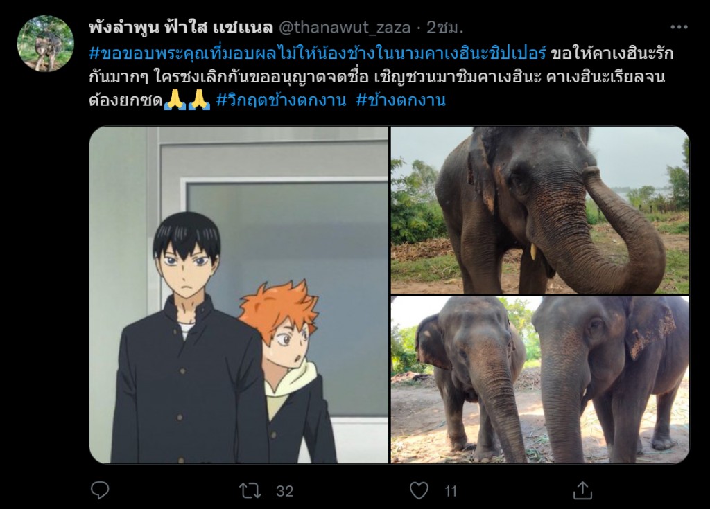 genshin-impact-fans-donate-for-thai-elephant20