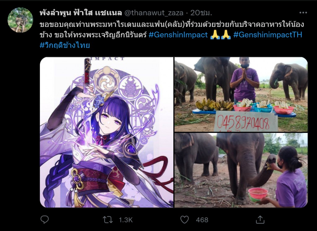 genshin-impact-fans-donate-for-thai-elephant3