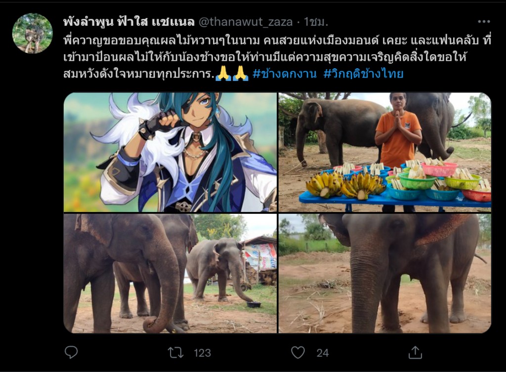 genshin-impact-fans-donate-for-thai-elephant5