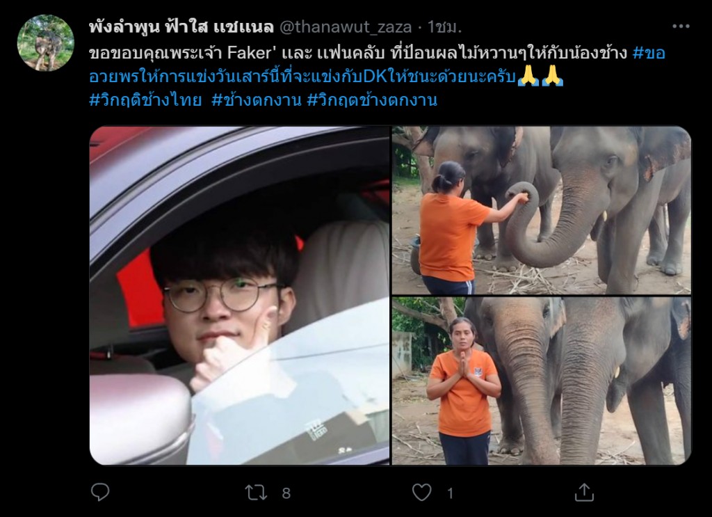 genshin-impact-fans-donate-for-thai-elephant6
