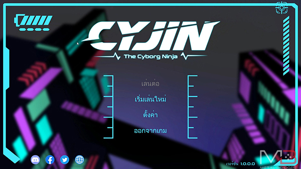 Cyjin Review  (6)