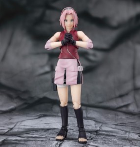 s-h-figuarts-series-line-up (10)