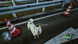 277462081_4904897462932268_178843680881210545_n