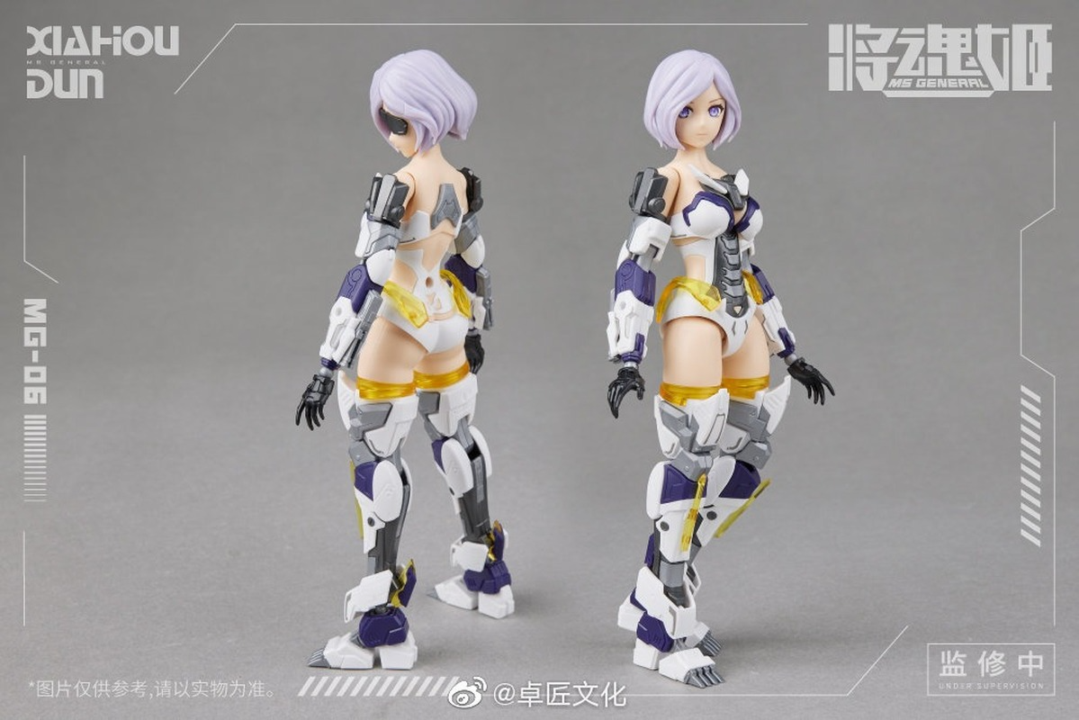 6.MS General Plastic Kits Model 110 Mg06 Xiahou Dun (แฮหัวตุ้น) (3)