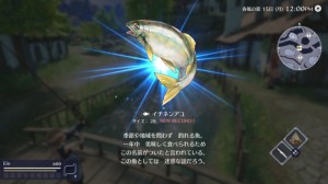 HARVESTELLA_2022_08-03-22_044-768x432