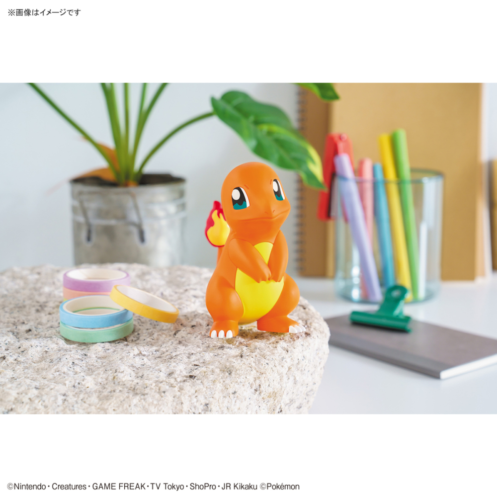 POKÉMON PLAMO COLLECTION  Charmander (6)