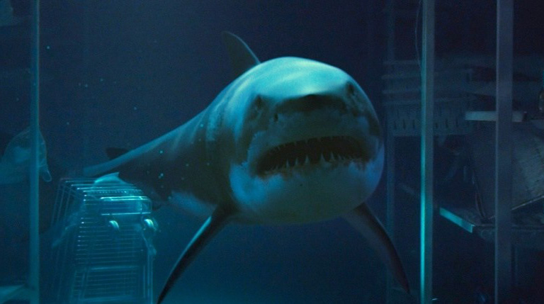 10-shark movie triller (1)