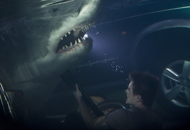 10-shark movie triller (3)