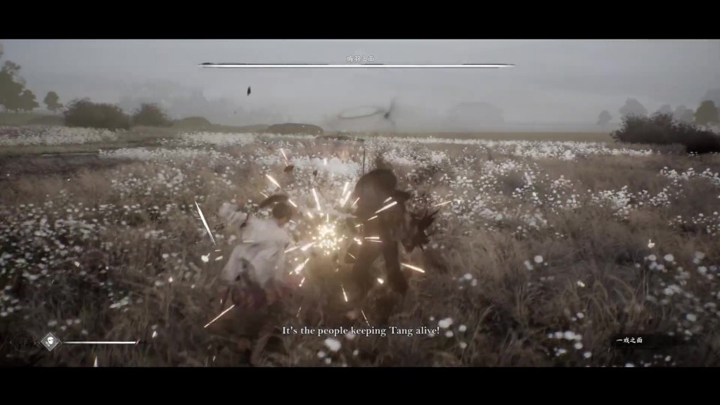 Project-The-Perceiver (7)