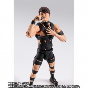 s-h-figuarts-t-m-revolution (11)