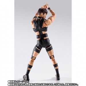 s-h-figuarts-t-m-revolution (5)