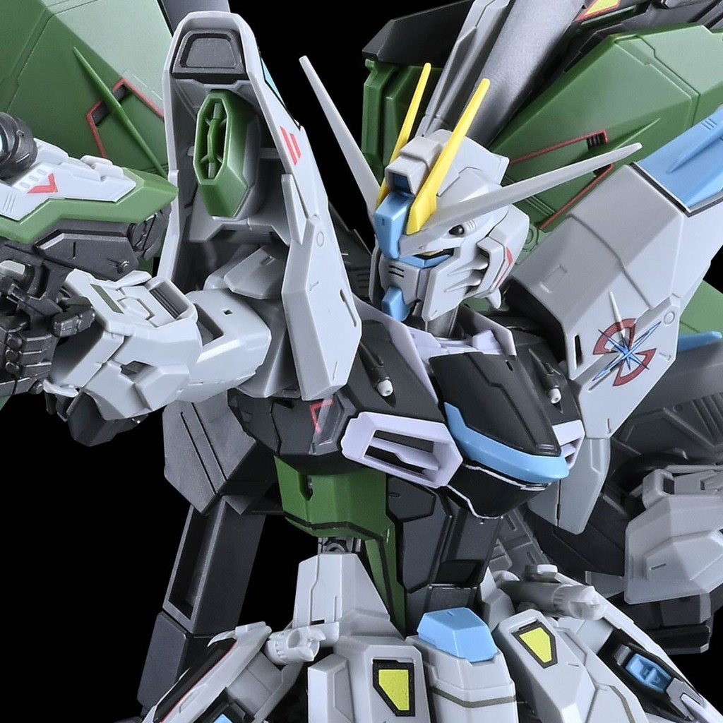 mg freedom gundam ver 2 real type color (1)