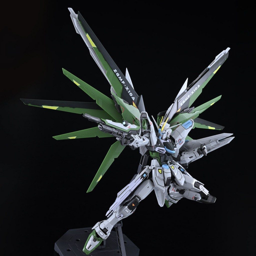 mg freedom gundam ver 2 real type color (2)
