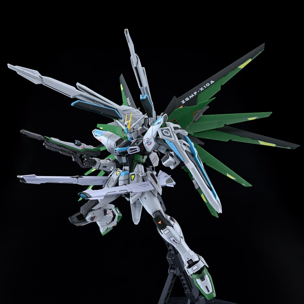 mg freedom gundam ver 2 real type color (5)