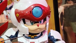 Ninden Teyandee  YATTARO (10)