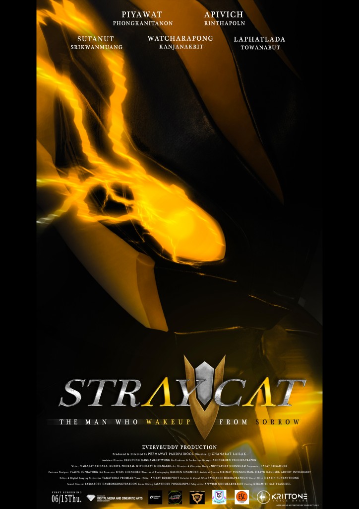 STRAY CAT  A Man who Wake Up from Sorrow (2)