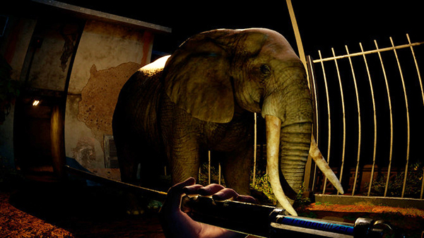 zoochosis (5)