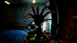 zoochosis (6)