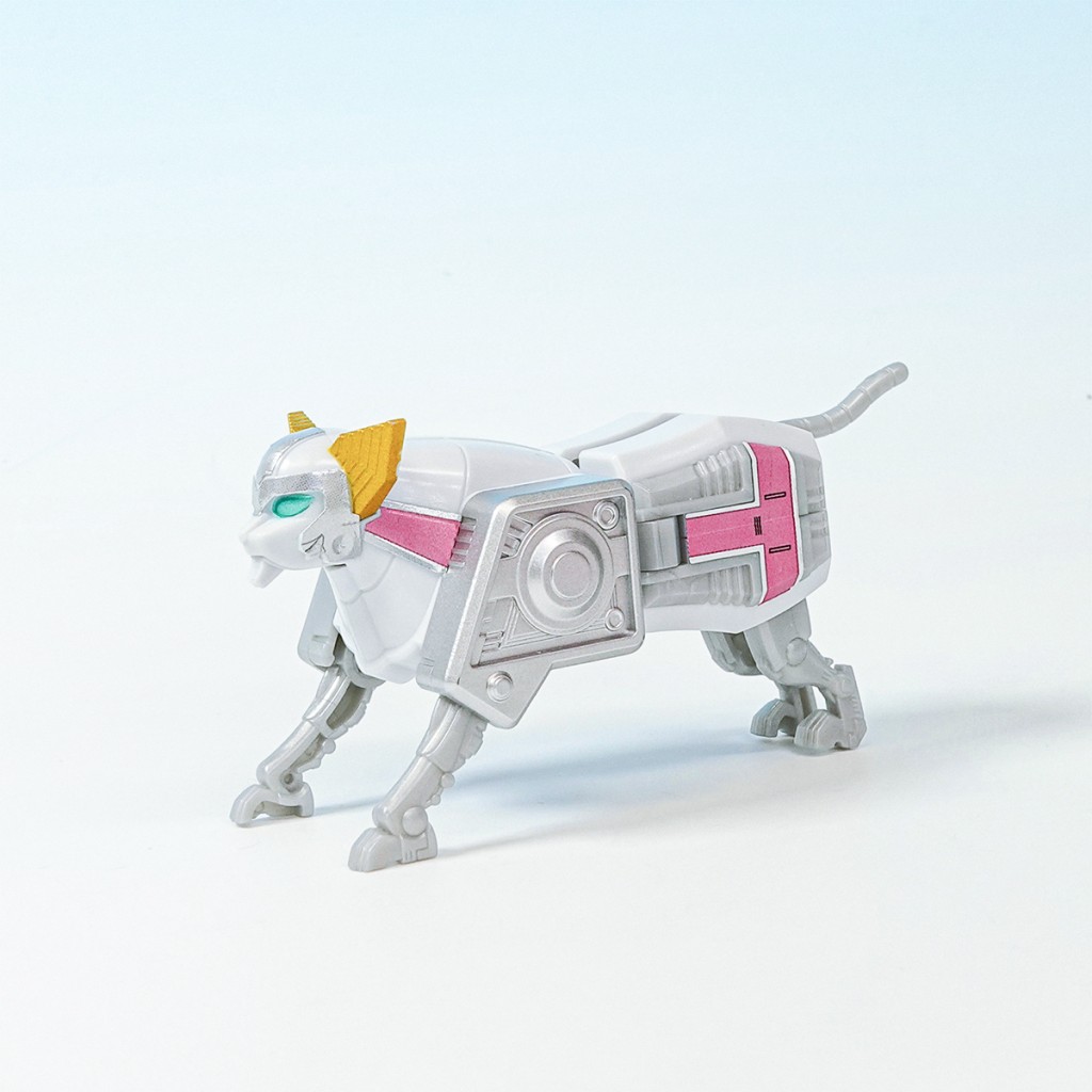 smp-shokugan-modeling-project-gingaioh (26)