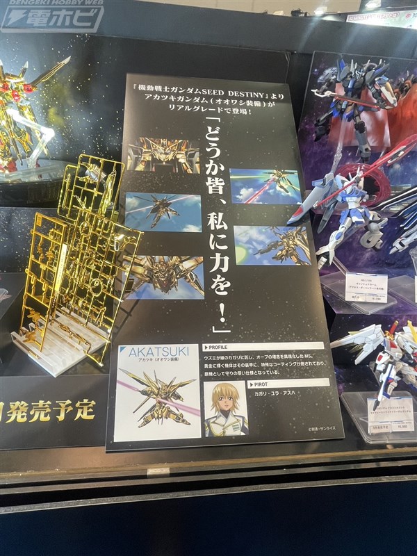 rg-1144-akatsuki-gundam (8)