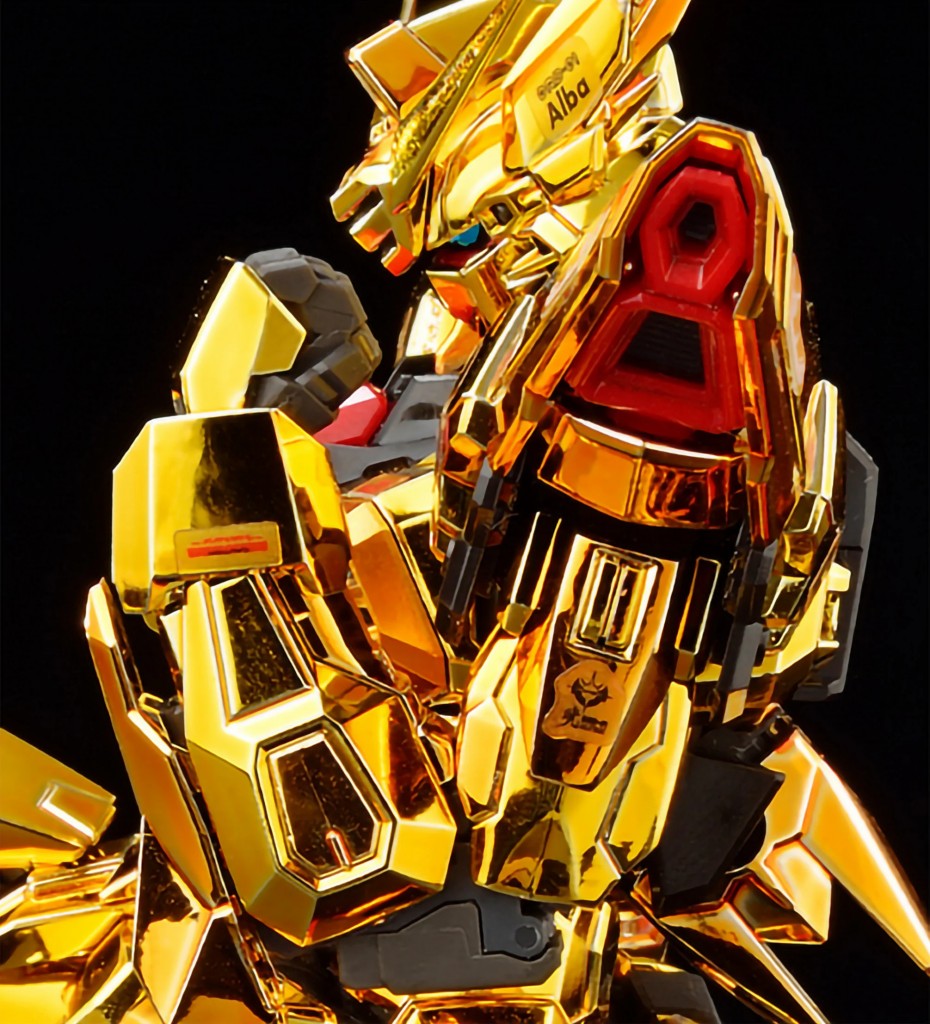 rg akatsuki gundam oowashii (10)