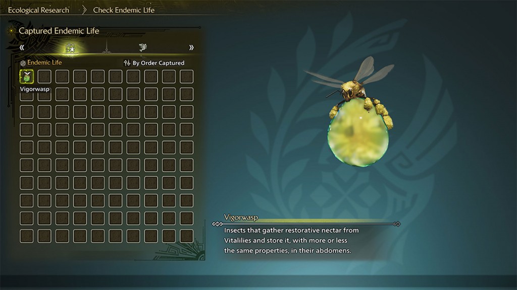 monster-hunter-wilds director-letter (5)