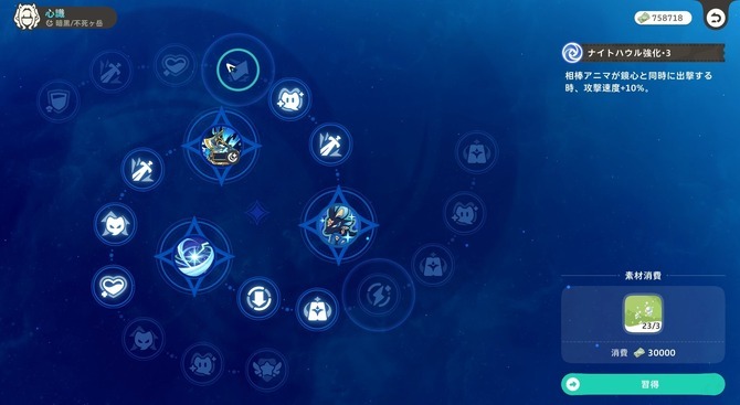 Honkai Nexus Anima (27)