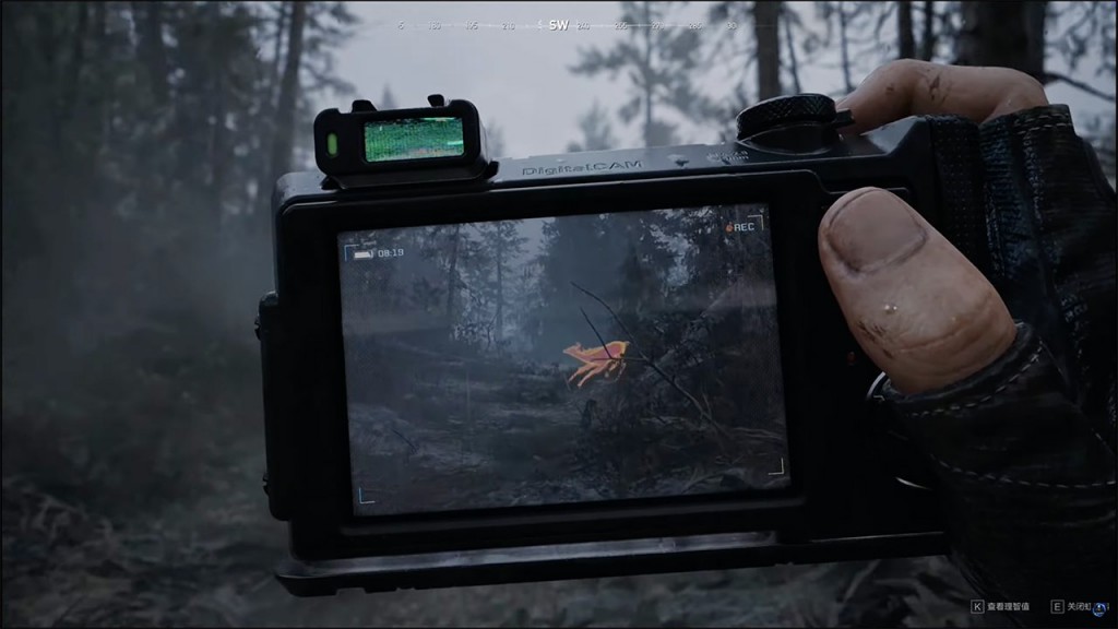 crossfire-rainbow  (4)