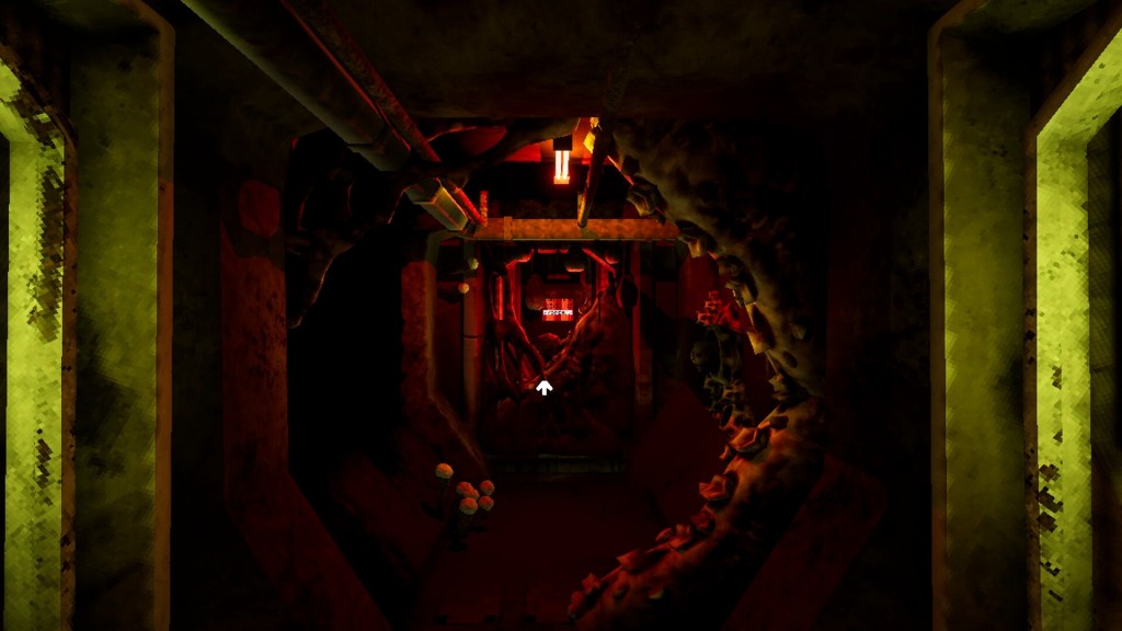 ULTRASOUND-09-03-25  (3)