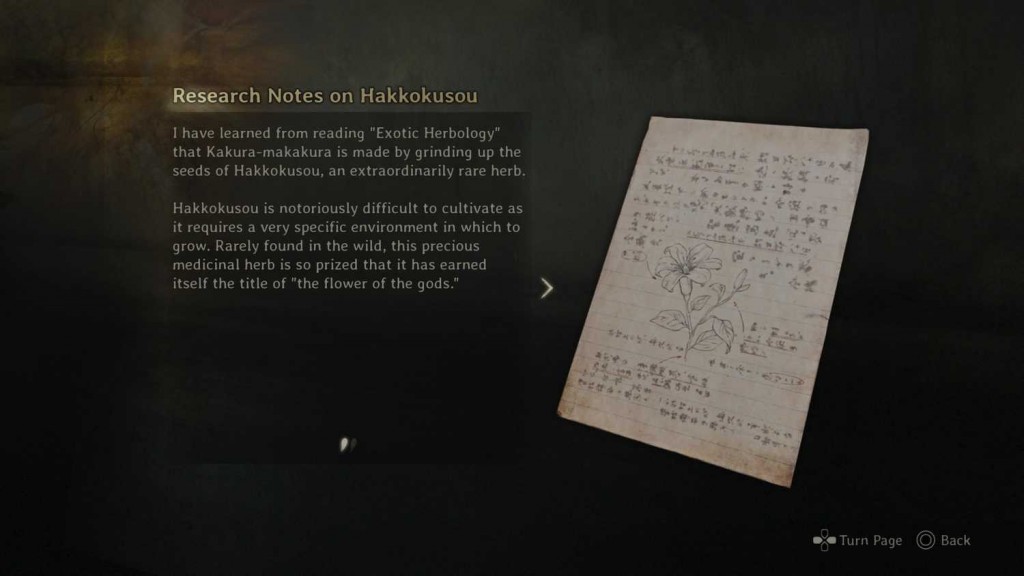 silent-hill-f-connects-main-canon (10)