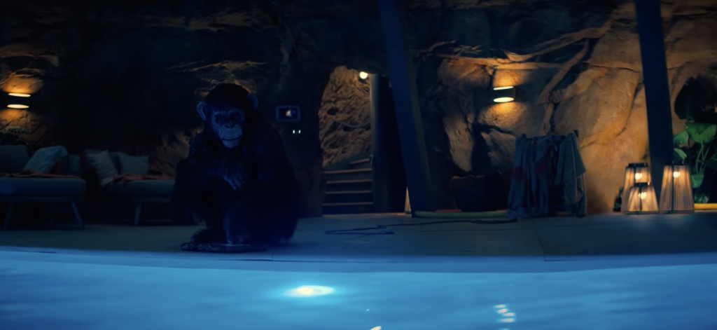 primate-movie (1)