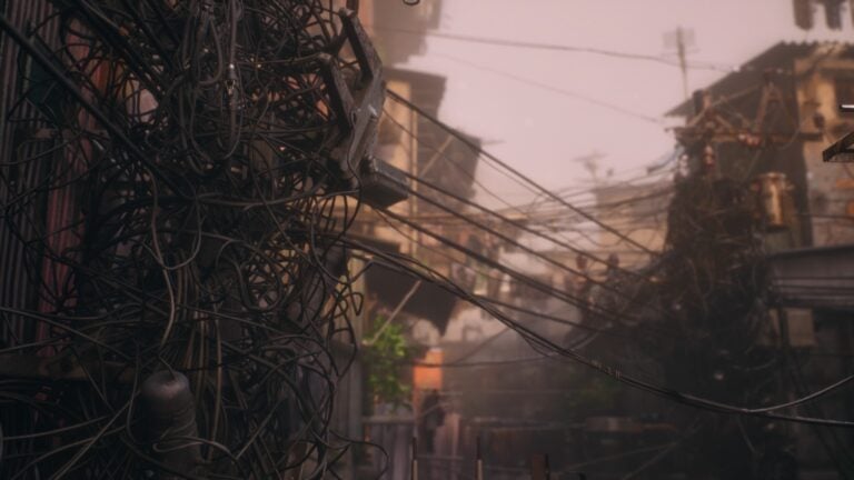 NO-LAW_2025_12-11-25 (15)