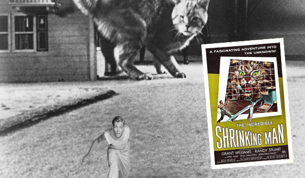 The-Shrinking-Man (3)