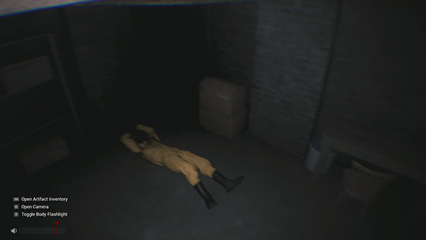 Sector 13 Haunted Woods (15)