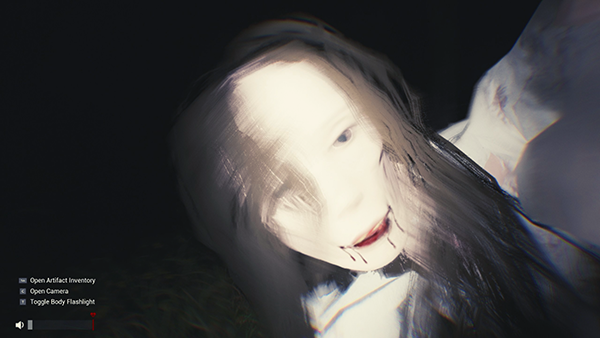 Sector 13 Haunted Woods (17)