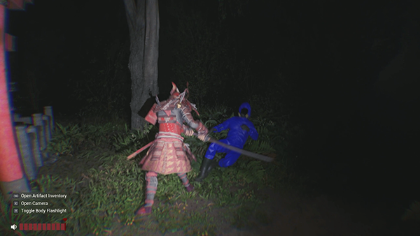 Sector 13 Haunted Woods (3)