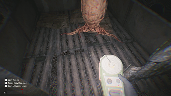 Sector 13 Haunted Woods (7)