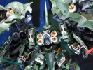 mgsd-nz-666-kshatriya (3)