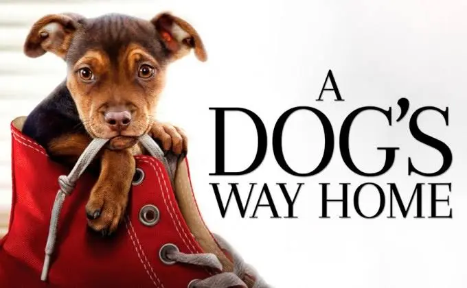 10-dogs-movie (1)