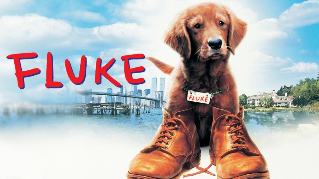 10-dogs-movie (3)