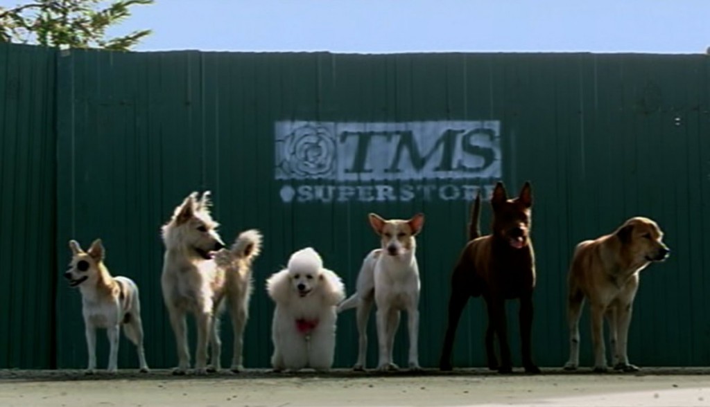 10-dogs-movie (7)