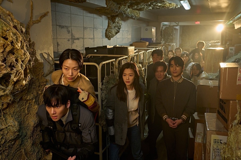 colony (4)