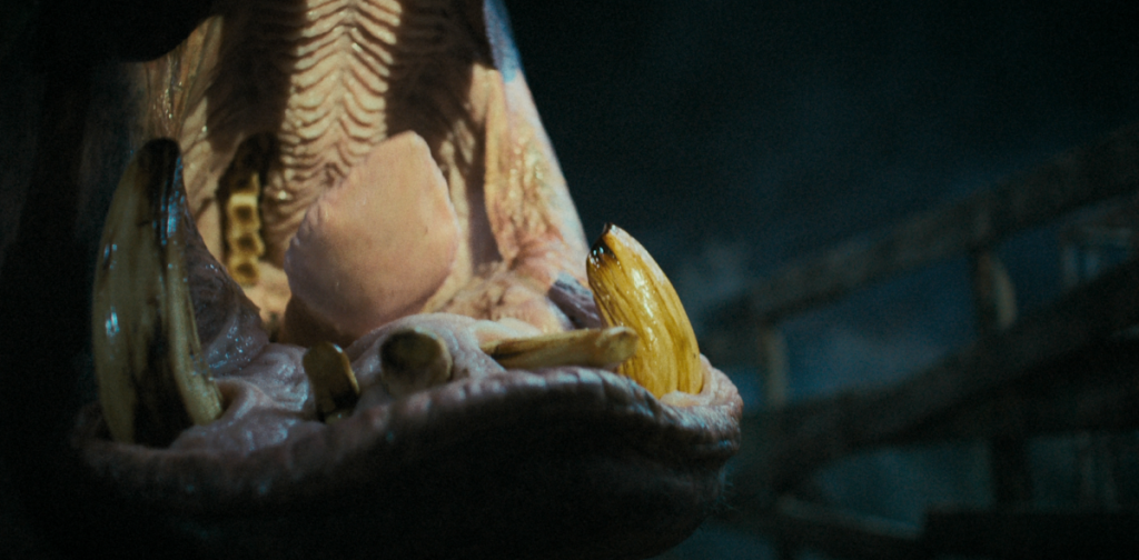 Hungry_cap001