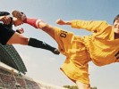 10-best-soccer-movies (8)