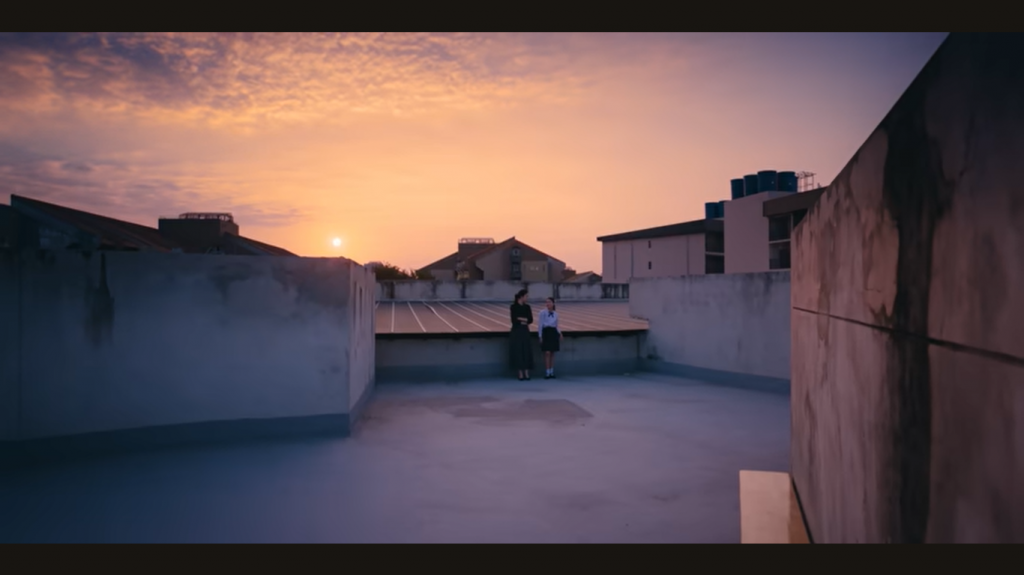 Shades -2026 (11)