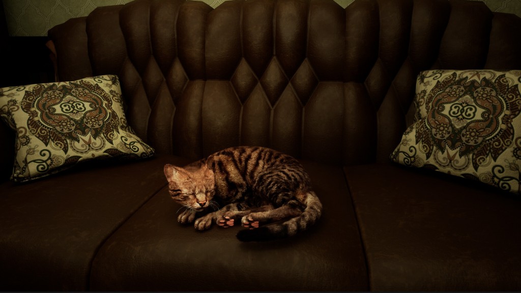 meowmories (1)