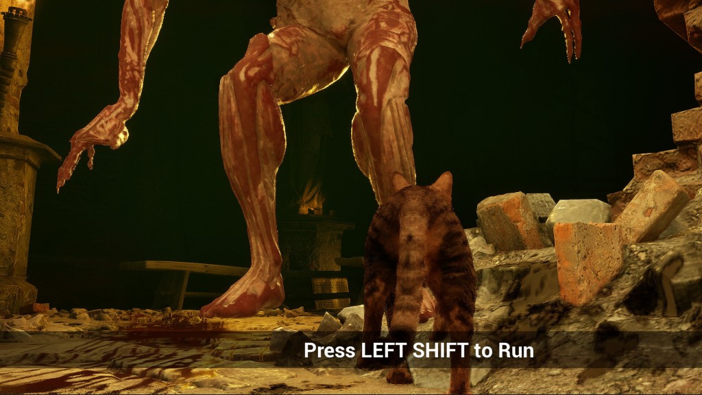 meowmories (2)