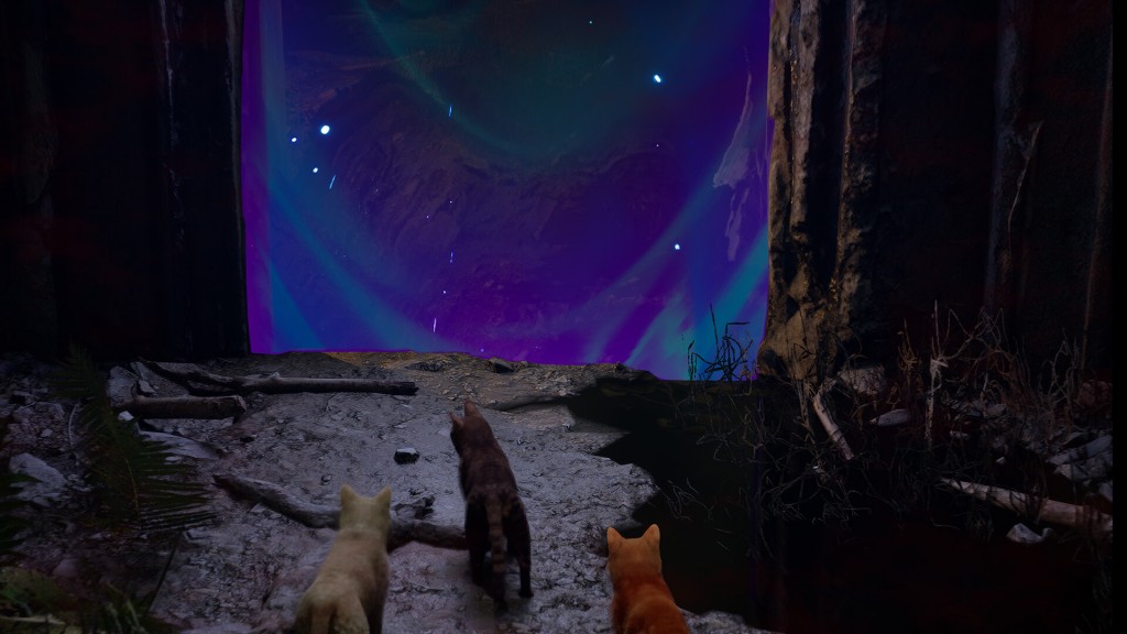 meowmories (3)