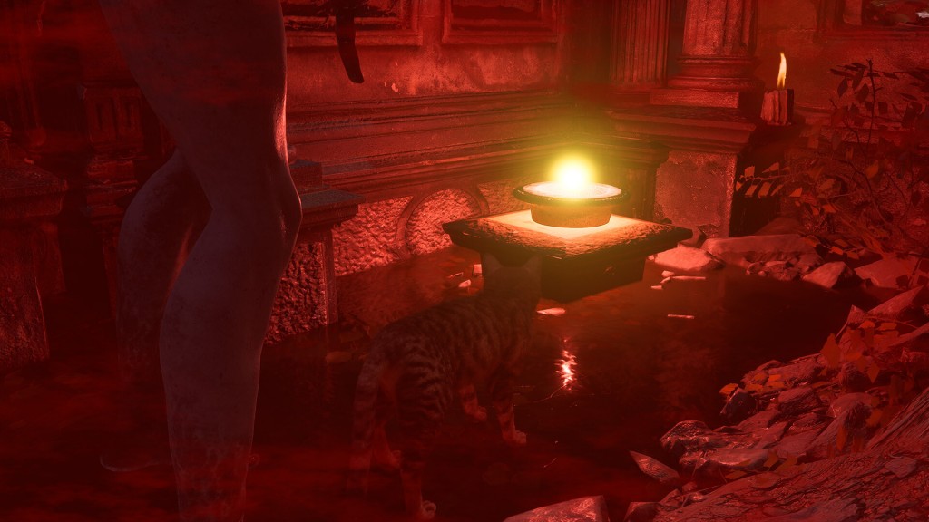 meowmories (5)