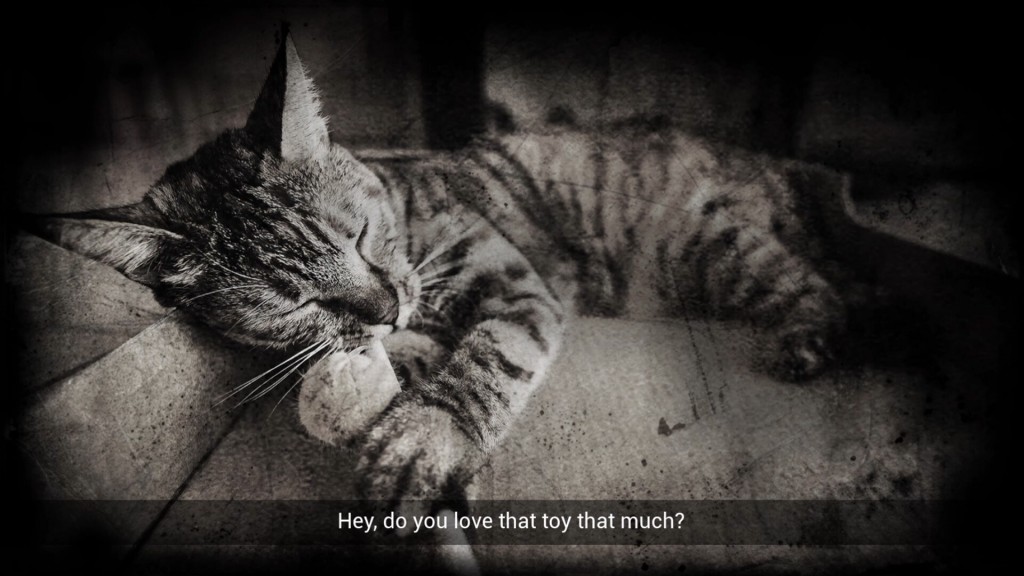 meowmories (7)
